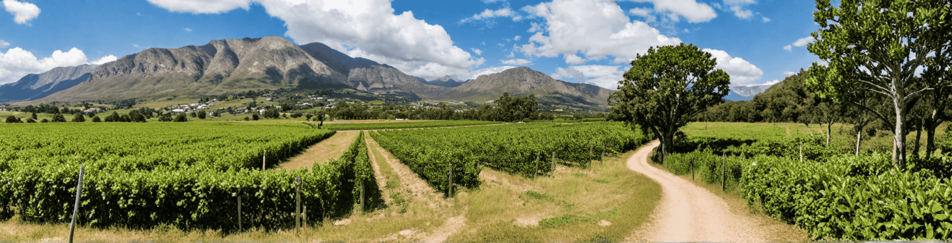 �frica do Sul Inesquec�vel